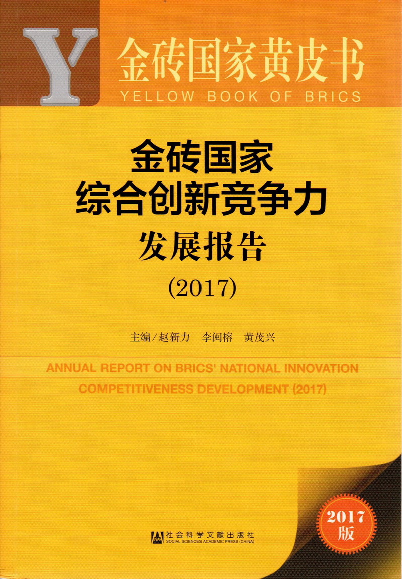 舔穴视频网站啊啊啊啊金砖国家综合创新竞争力发展报告（2017）